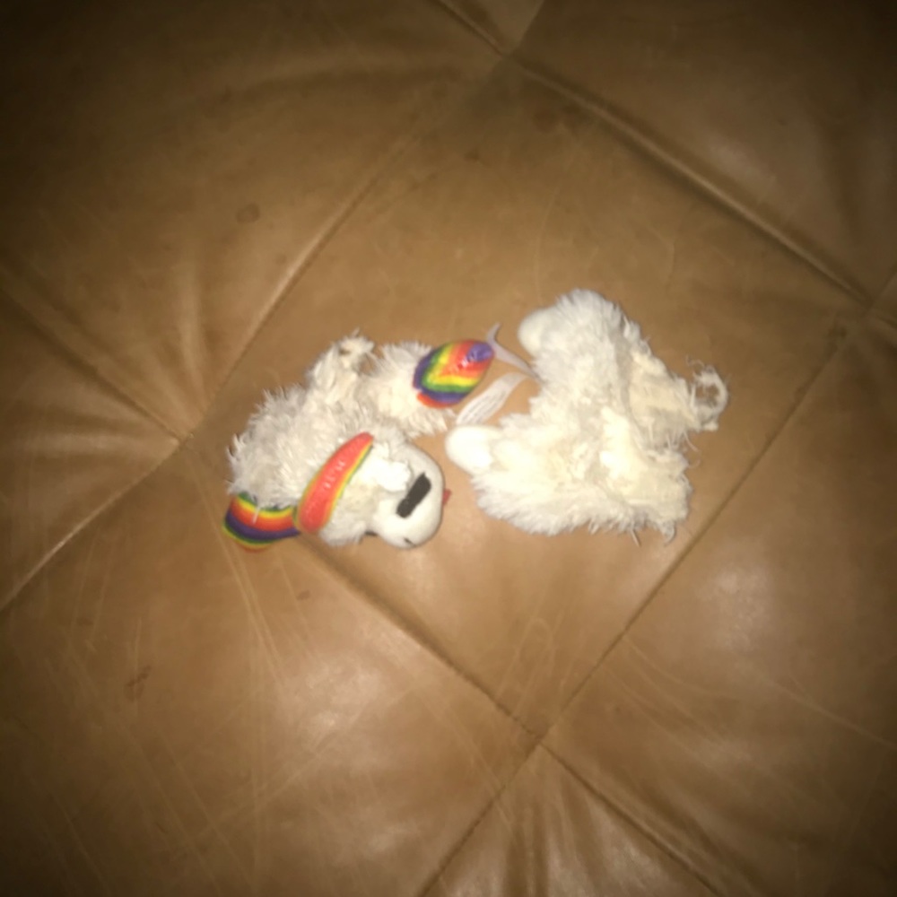Broken stuffed animal